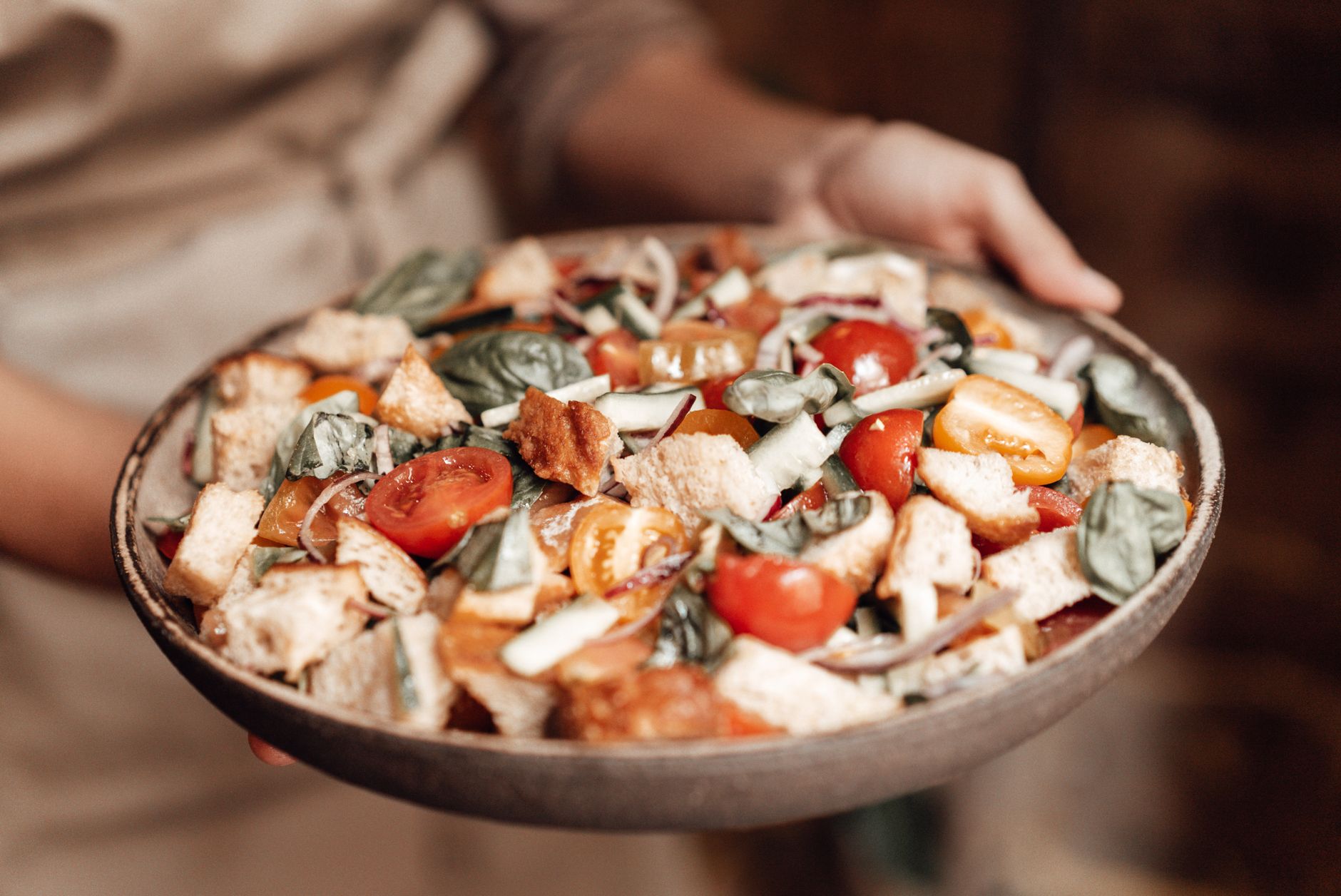 Panzanella Salad plated and ready to serve